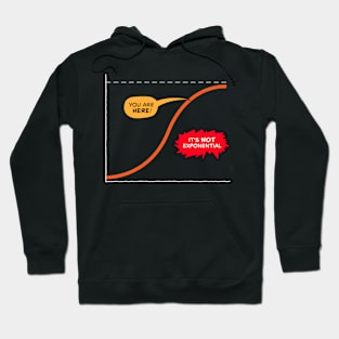 Logistic curve Hoodie